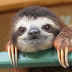 Meet your Posher, Natalia